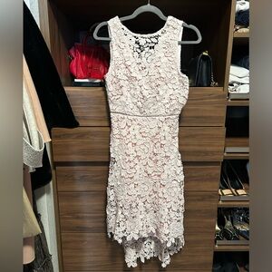 Joie Bridley Light Pink Lace Dress 4